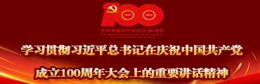 学习贯彻习近平总书记在庆祝中国共产党成立100周年大会上的重要讲话精神