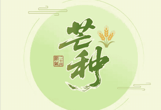 芒种:仲夏之始,麦熟梅黄