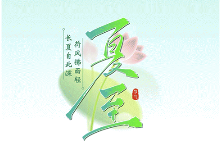 夏至:荷开蝉鸣,清夏安然