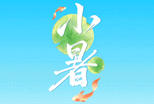 小暑：繁荫藏暑夏正浓
