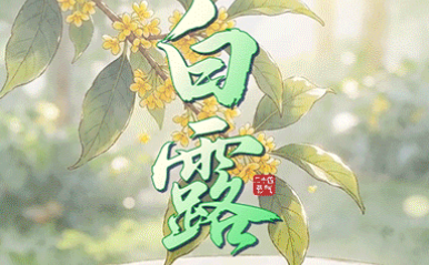 白露:露白秋深意自宁