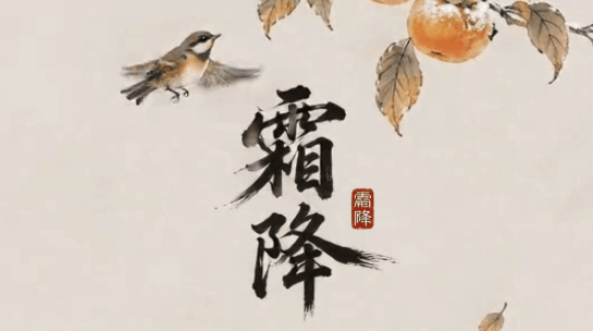 霜降:秋暮凝霜 砺节守心
