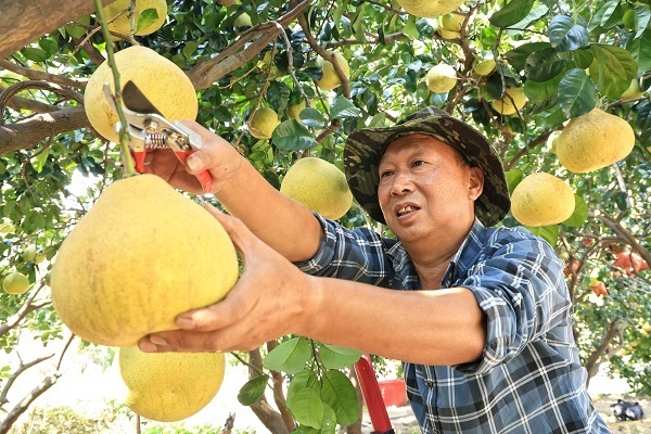 微信图片_20261021144441_99_16.jpg
