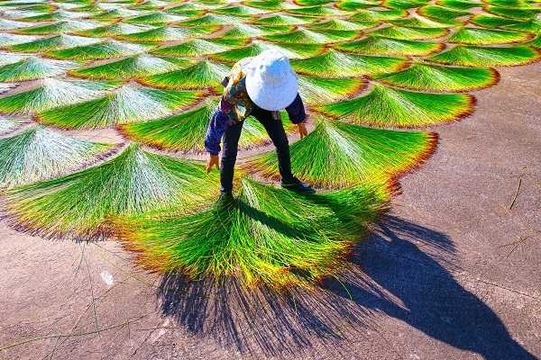 微信图片_20260720142430_425_4.jpg