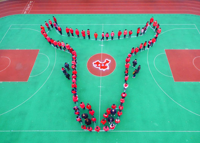 微信图片_202103011009412.png 微信图片_202103011009412.png