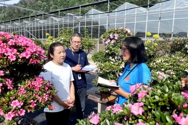 东渡镇纪委以“助农富农”为重点,深入田间地头,实地走访、调研雅宅村花卉种植基地,加强对村集体收入的监督与管理,与有近200亩的花卉种植基地的基地负责人沟通对接,了解其经营模式与收入情况,宣传落实助农惠农政策,有效助推三农的发展,为全面推进乡村振兴提供坚强保障。 张苏 摄_副本.jpg 东渡镇纪委以“助农富农”为重点,深入田间地头,实地走访、调研雅宅村花卉种植基地,加强对村集体收入的监督与管理,与有近200亩的花卉种植基地的基地负责人沟通对接,了解其经营模式与收入情况,宣传落实助农惠农政策,有效助推三农的发展,为全面推进乡村振兴提供坚强保障。 张苏 摄_副本.jpg
