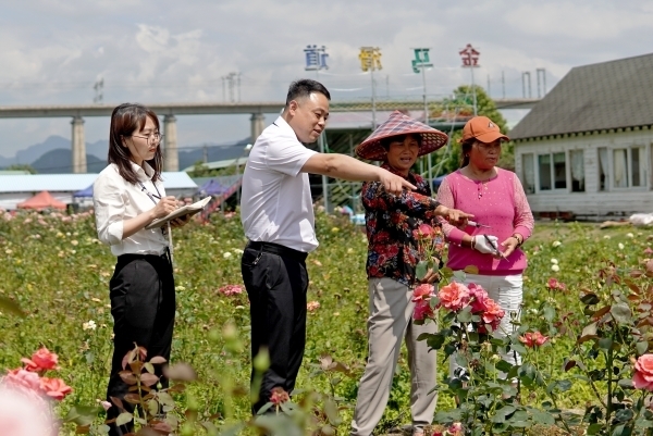 DSC00359_副本 (1).jpg DSC00359_副本 (1).jpg