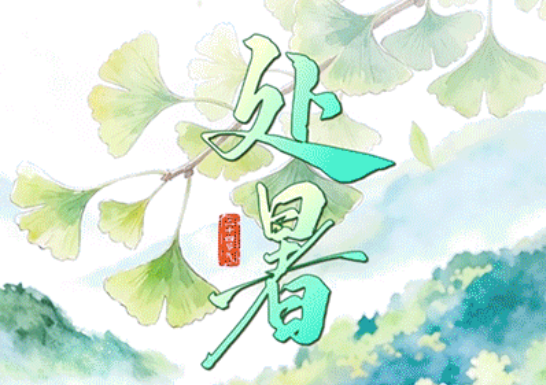 处暑:物敛风清是好秋
