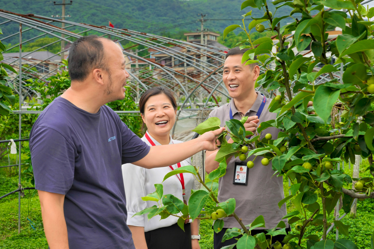 果蔬基地.jpg 果蔬基地.jpg