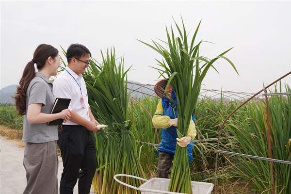 DSC01022_副本.jpg DSC01022_副本.jpg